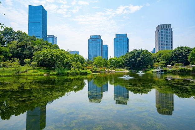 Bellissimo parco delle zone umide e skyline urbano a Chongqing in Cina