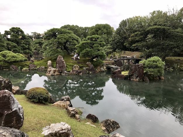 Bellissimo parco in Giappone