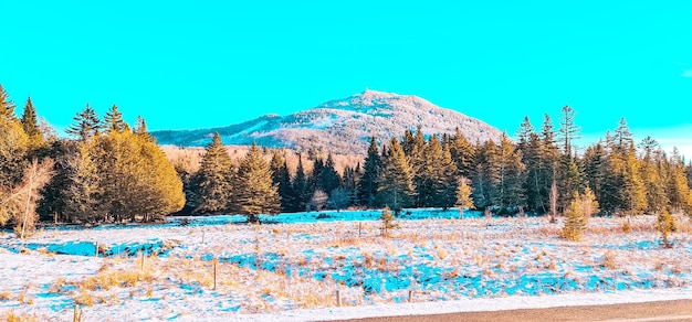 bellissimo parco nella neve