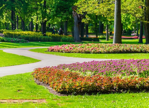 Bellissimo parco verde e fiori tra un sentiero