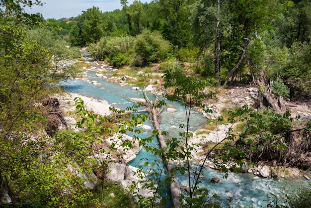 Bellissimo parco verde in estate con un fiume azzurro