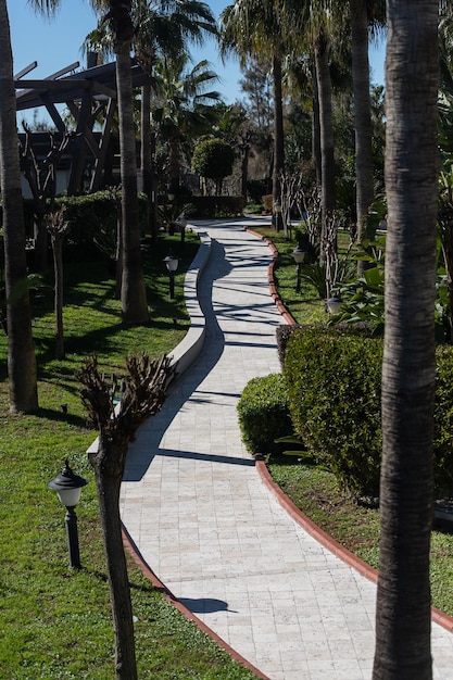 Bellissimo percorso in cemento lungo il giardino tropicale Il concetto di relax