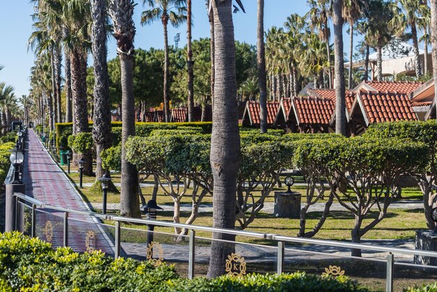 Bellissimo percorso in cemento lungo il giardino tropicale Il concetto di relax