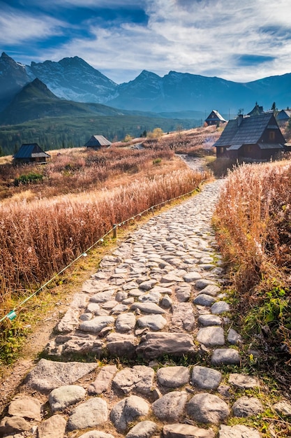 Bellissimo percorso verso i Tatra al tramonto in Polonia