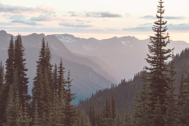 Bellissimo picco di montagna in North Cascade Range, Washington / USA