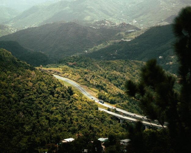 Bellissimo ponte autostradale della foresta di pini di montagna di Porto Rico da Cayey