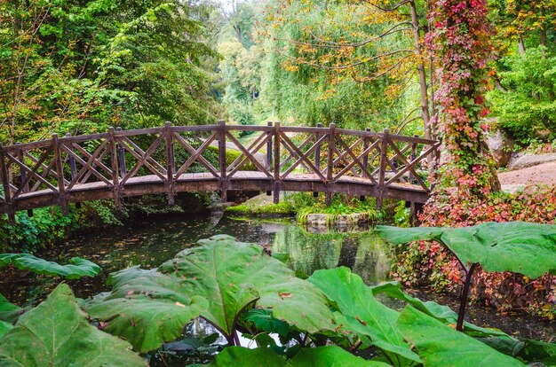 Bellissimo ponte di legno sul laghetto in un colorato parco autunnale