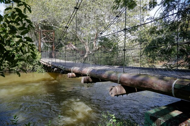 Bellissimo ponte in ferro sul fiume in mezzo alla foresta incantata