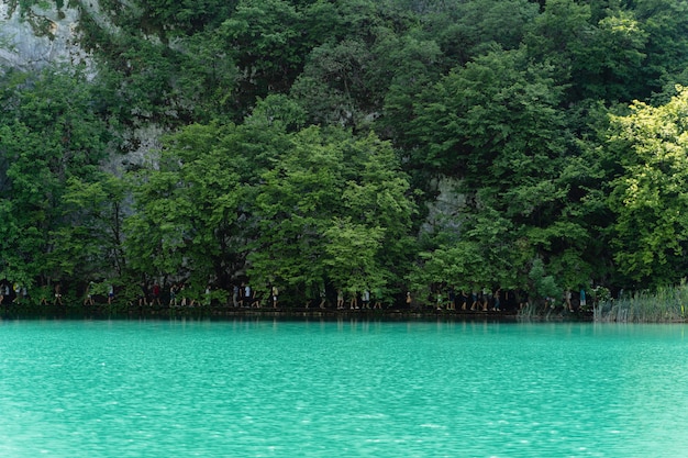 Bellissimo scatto dei laghi di Plitvice, Croazia