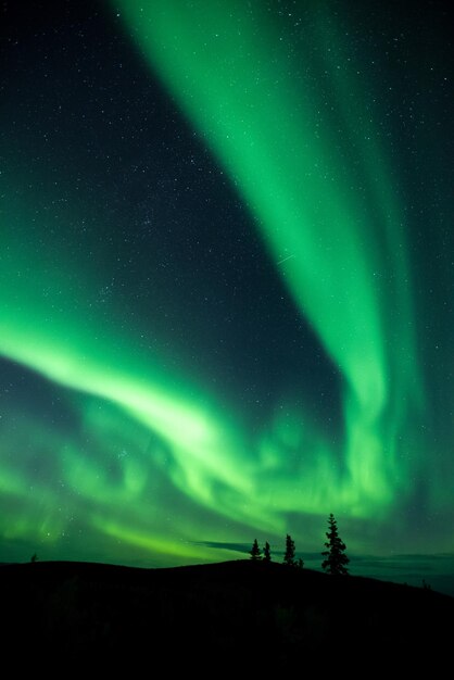 Bellissimo scatto dell'aurora boreale, Dawson City, Yukon, Canada