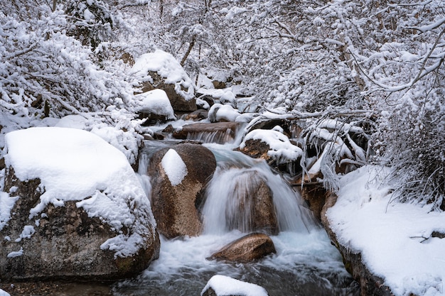 Bellissimo scatto di un piccolo fiume ghiacciato in una foresta