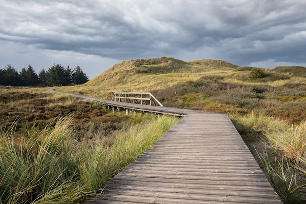 Bellissimo sentiero in legno sotto un cielo nuvoloso sull'isola di Amrum, Germany