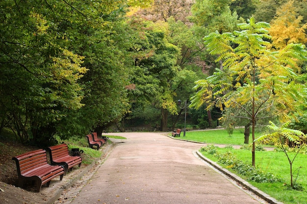 Bellissimo sentiero nel parco