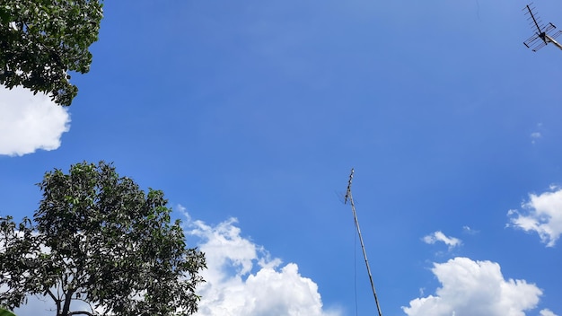 Bellissimo sfondo blu cielo pulito tra alberi e antenna tv