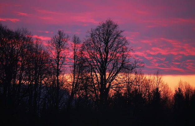 Bellissimo sfondo Cloudscape Cielo luminoso al tramonto o all'alba