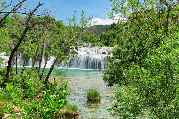 Bellissimo sfondo della cascata nella soleggiata giornata estiva Bella cascata nel Parco Nazionale di Krka Croazia Europa Cascate del fiume Krka nel Parco Nazionale di Krka