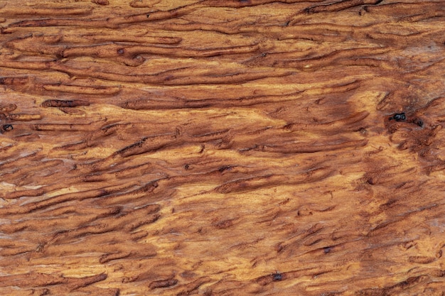 Bellissimo sfondo in legno. Di aspetto rustico e toni ocra, marroni, tostati, dorati. Le vene e i nodi sono apprezzati.
