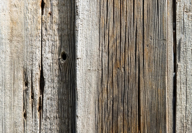 Bellissimo sfondo in legno in legno tagliato a croce con un motivo di anelli Modello per un'iscrizione Mockup per il design Foto di alta qualità