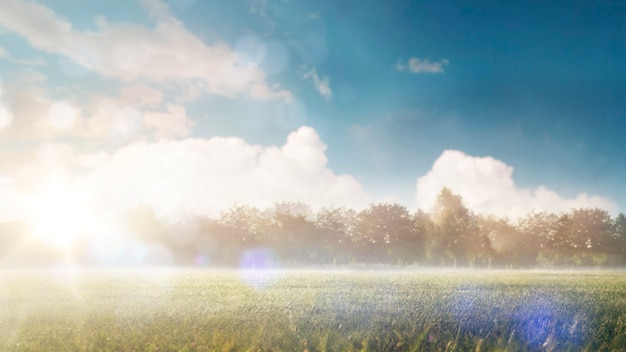 Bellissimo sfondo Mattina sul campo. Un paesaggio estivo in tempo soleggiato e caldo