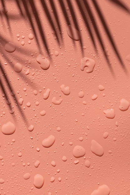 Bellissimo sfondo rosa con gocce d'acqua e ombra di un ramo di una palma