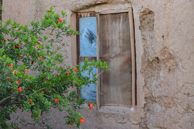 bellissimo sfondo vecchia porta