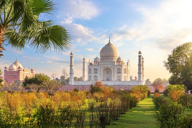 Bellissimo Taj Mahal nel giardino India Agra