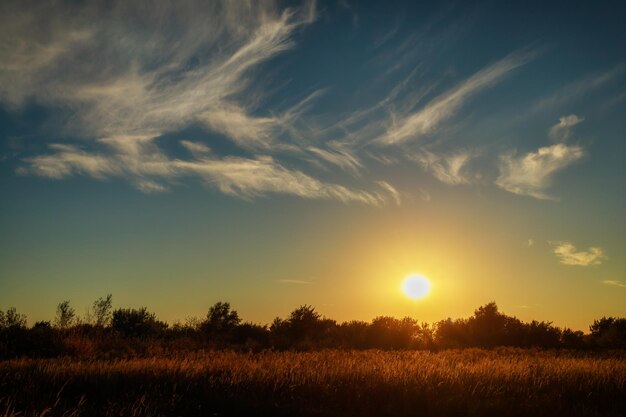 Bellissimo tramonto estivo. Paesaggio estivo