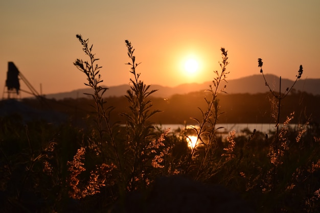 Bellissimo tramonto in riva al fiume