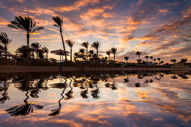 Bellissimo tramonto romantico su una spiaggia sabbiosa e palme Egitto Hurghada