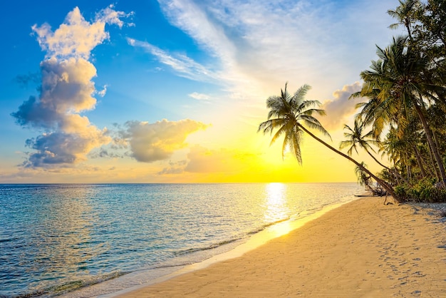 Bellissimo tramonto serale sulla costa dell'isola Maldive