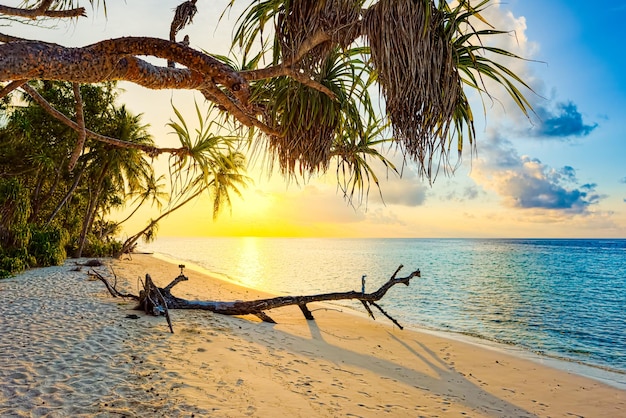 Bellissimo tramonto serale sulla costa dell'isola Maldive