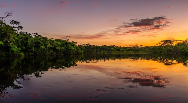 Bellissimo tramonto sul fiume Amazzonia in alta risoluzione e nitidezza