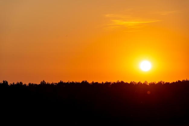 Bellissimo tramonto sulla foresta in una giornata estiva La sagoma scura della foresta e il luminoso sole arancione accecante tocca leggermente le cime degli alberi all'orizzonte