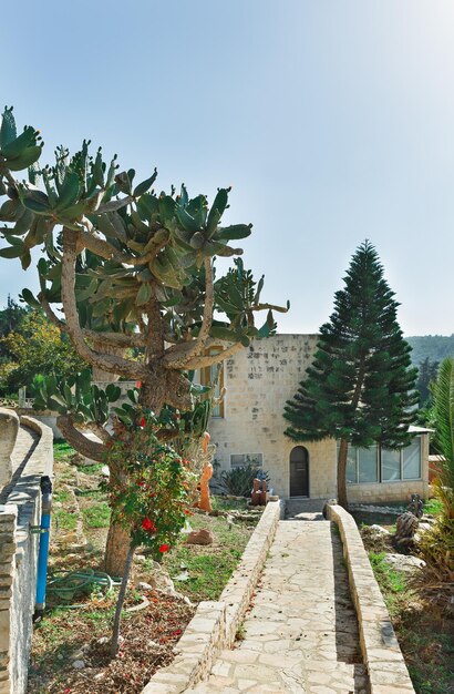 Bellissimo vialetto in pietra che porta alla casa