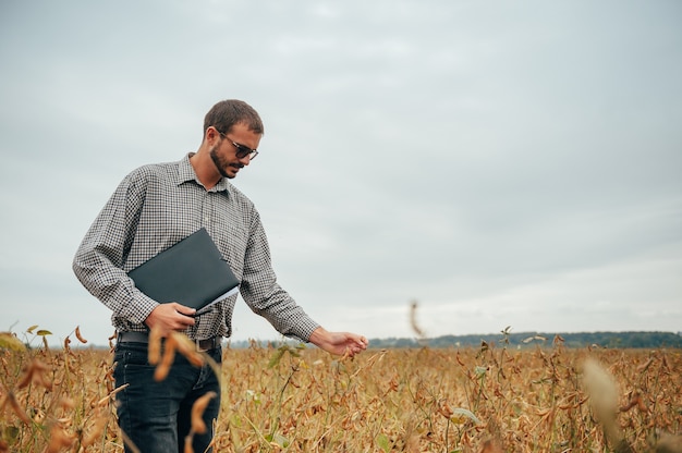 Bello agronomo tiene tablet touch pad computer nel campo di soia ed esamina i raccolti prima della raccolta