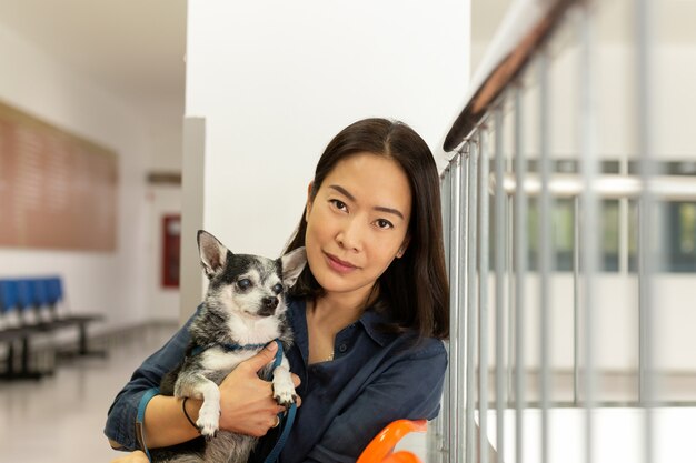 Bello cane della chihuahua della tenuta della donna all&#39;ospedale del veterinario.