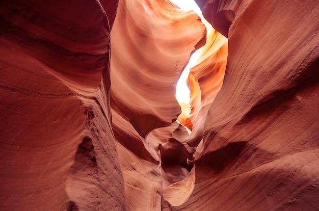 Bello canyon dell'antilope, terra navajo ad est di Page, USA