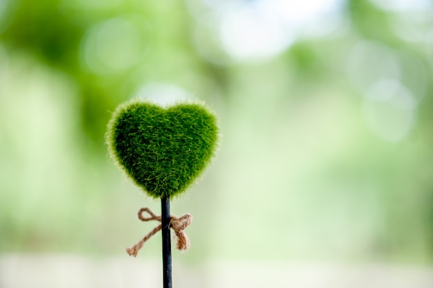 Bello concetto verde di giorno di biglietti di S. Valentino delle immagini del cuore e della mano