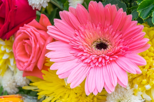 Bello fiore dentellare in un mazzo, fiori naturalmente bei nel giardino