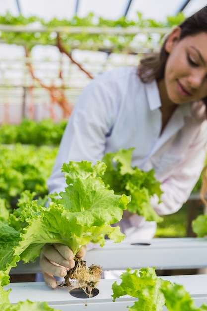 Bello giovane agricoltore caucasico che lavora in un'azienda agricola idroponica di verdure