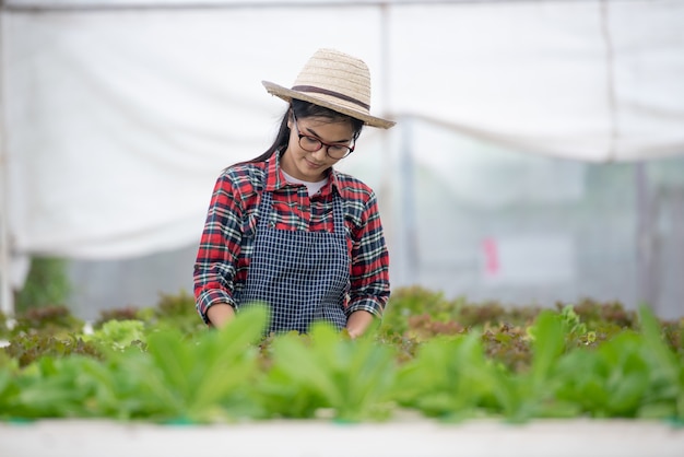 Bello giovane concetto di agricoltura delle donne asiatiche