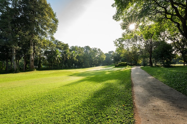 Bello golf verde di mattina con la pista della strada