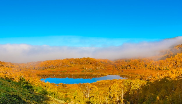 Bello lago della foresta nel giorno di autunno.