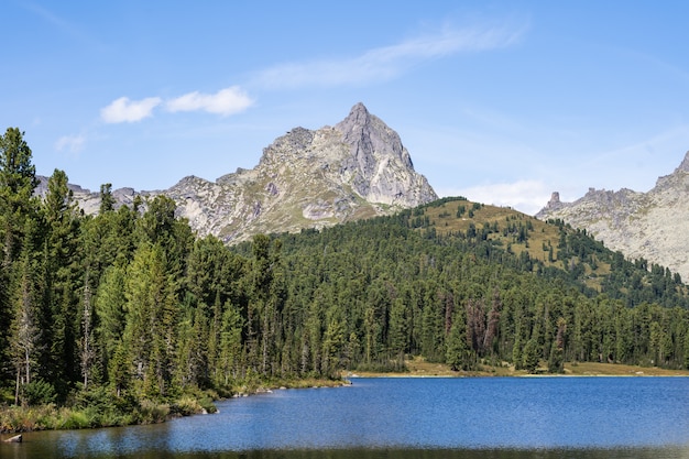 Bello lago della montagna con i pini e l'erba verde, parco nazionale di Ergaki, Siberia, Russia