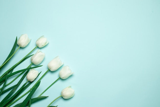 Bello mazzo dei tulipani su una tavola blu, spazio della copia. Pasqua.