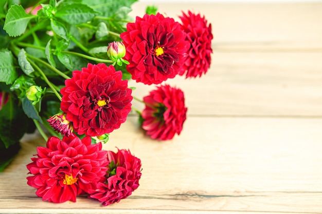 Bello mazzo delle dalie rosse di recente tagliate sulla tavola di legno