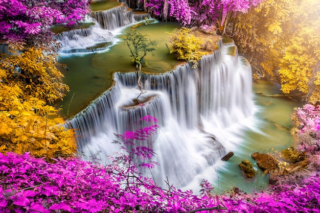 Bello paesaggio della natura della cascata della foresta profonda variopinta nel giorno di estate