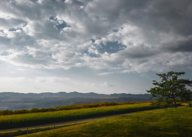 Bello paesaggio della natura e fondo del cielo nuvoloso