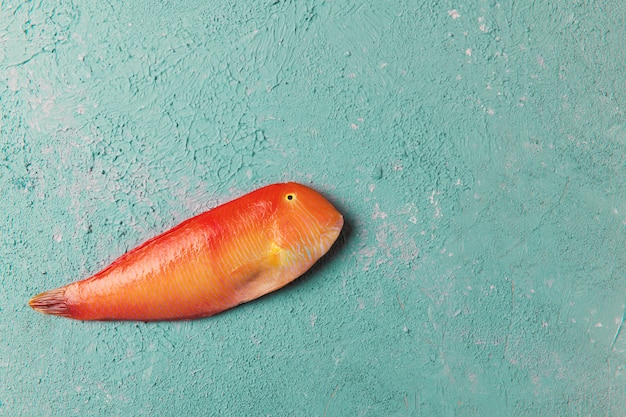 Bello pesce tropicale del Mar Rosso Razorfish madreperlaceo su un fondo di colore turchese o tiffany. Xyrichtys novacula. Composizione di pesce