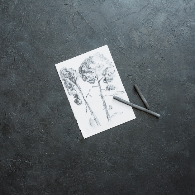 Bello schizzo dell&#39;albero su carta bianca con il bastone di carbone contro il contesto nero dell&#39;ardesia